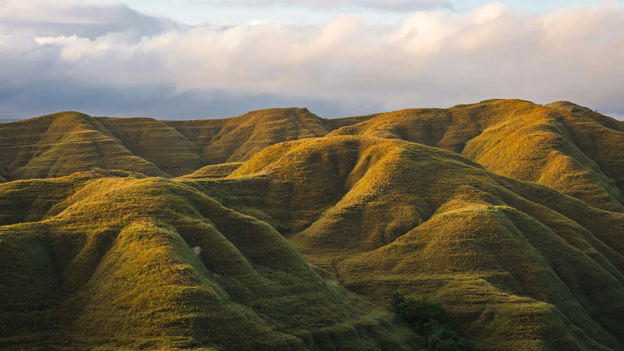 Golden grassy hills with deep folds
